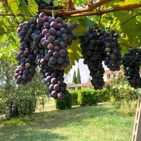 Valle Degli Dei Вилла