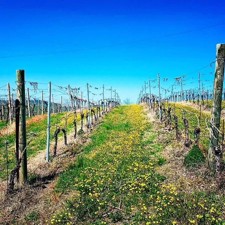 Вилла Valle Degli Dei Греццана