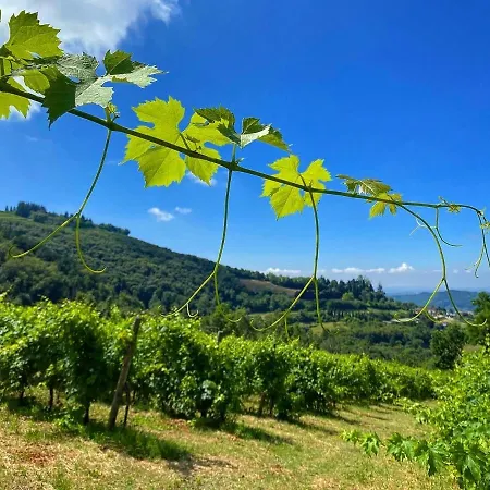 Valle Degli Dei Villa Grezzana