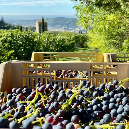 Valle Degli Dei *
