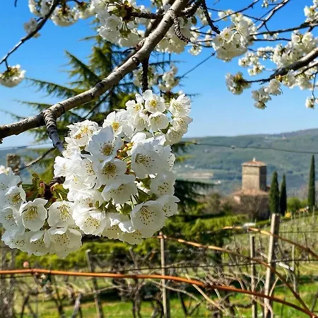 Valle Degli Dei